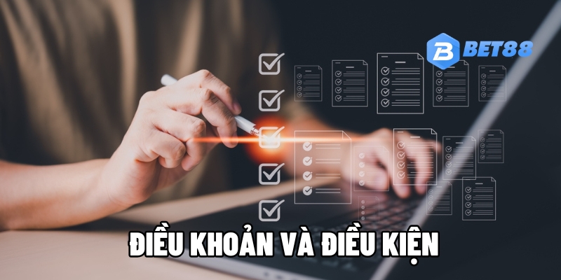 dieu khoan va dieu kien 1